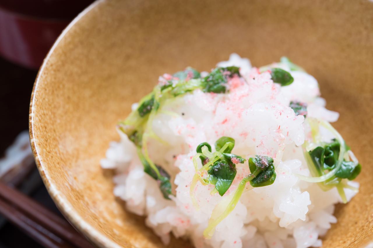 Ryori Ryokan Okuhida Sansoan Kyoya Takajama Exteriér fotografie